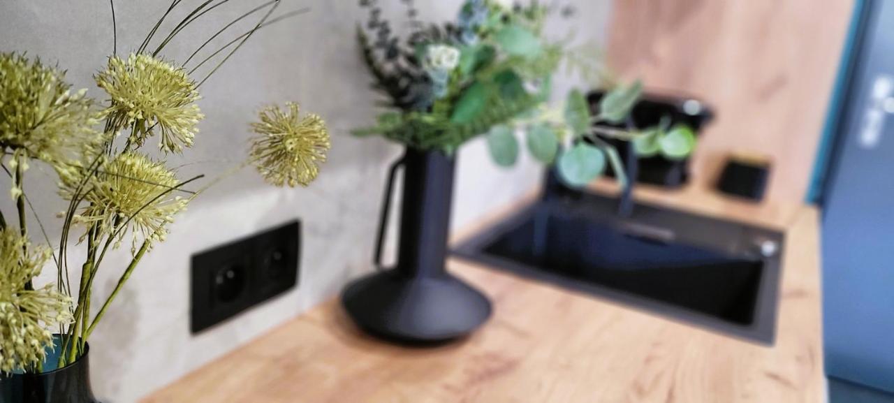 Kossak Apartment *